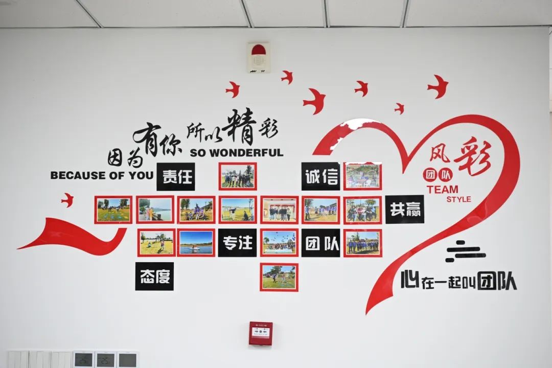 副会长谢晓娟：助企业智能化改造升级，让传统工业焕发数字新生