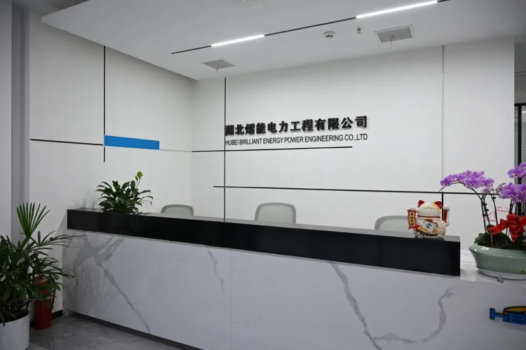理事专访 | 胡强：熠能电力在“一带一路”上种一棵“长青树”